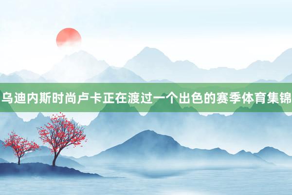 乌迪内斯时尚卢卡正在渡过一个出色的赛季体育集锦