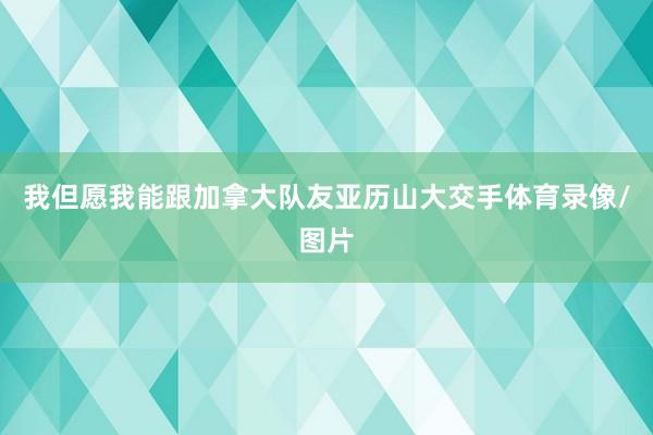 我但愿我能跟加拿大队友亚历山大交手体育录像/图片