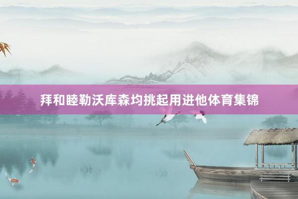 拜和睦勒沃库森均挑起用进他体育集锦