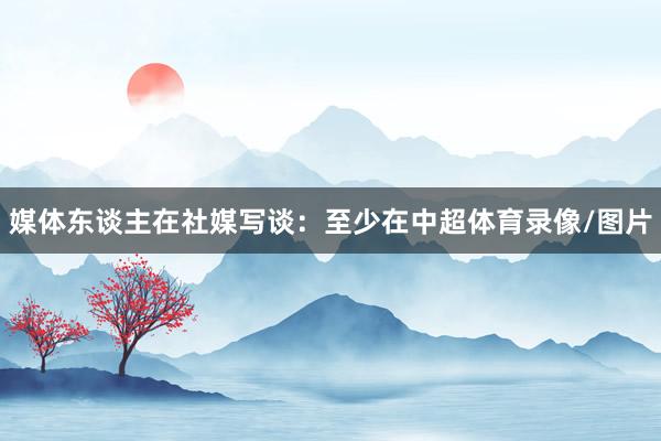 媒体东谈主在社媒写谈：至少在中超体育录像/图片