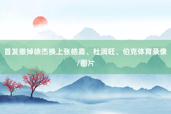 首发撤掉徐杰换上张皓嘉、杜润旺、伯克体育录像/图片