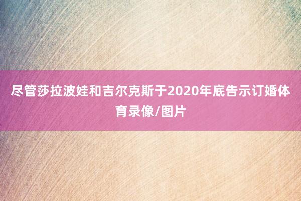 尽管莎拉波娃和吉尔克斯于2020年底告示订婚体育录像/图片