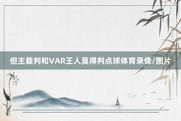 但主裁判和VAR王人莫得判点球体育录像/图片