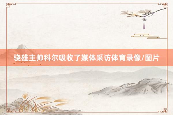 骁雄主帅科尔吸收了媒体采访体育录像/图片