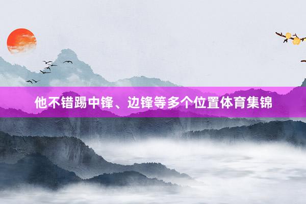 他不错踢中锋、边锋等多个位置体育集锦