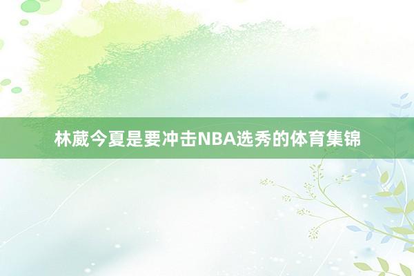 林葳今夏是要冲击NBA选秀的体育集锦