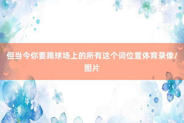 但当今你要踢球场上的所有这个词位置体育录像/图片