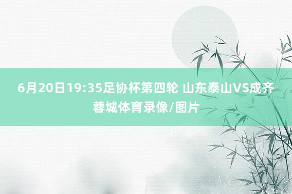 6月20日19:35足协杯第四轮 山东泰山VS成齐蓉城体育录像/图片