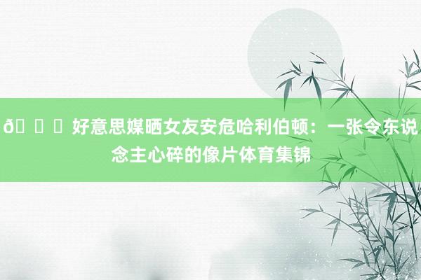 💔好意思媒晒女友安危哈利伯顿：一张令东说念主心碎的像片体育集锦