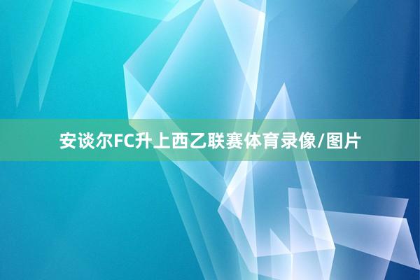 安谈尔FC升上西乙联赛体育录像/图片