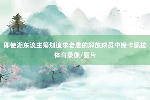 即使湖东谈主筹划追求老鹰的解放球员中锋卡佩拉体育录像/图片