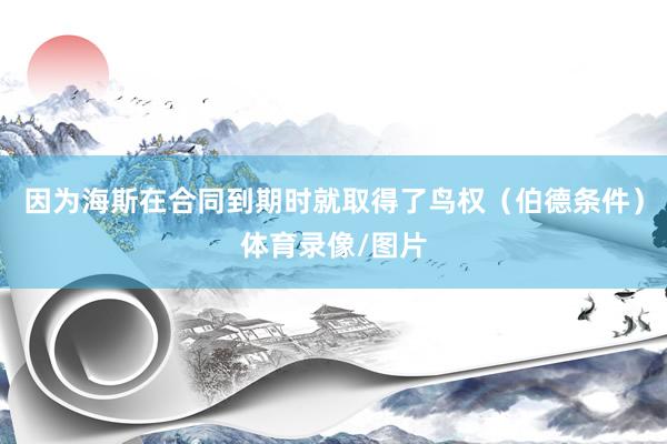 因为海斯在合同到期时就取得了鸟权（伯德条件）体育录像/图片
