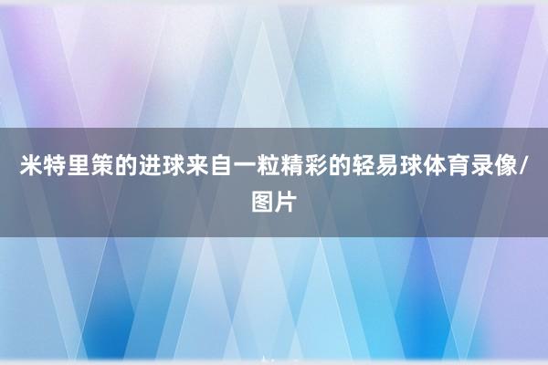 米特里策的进球来自一粒精彩的轻易球体育录像/图片