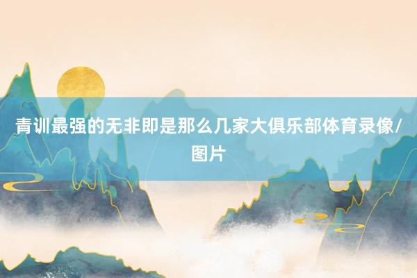 青训最强的无非即是那么几家大俱乐部体育录像/图片