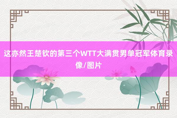 这亦然王楚钦的第三个WTT大满贯男单冠军体育录像/图片