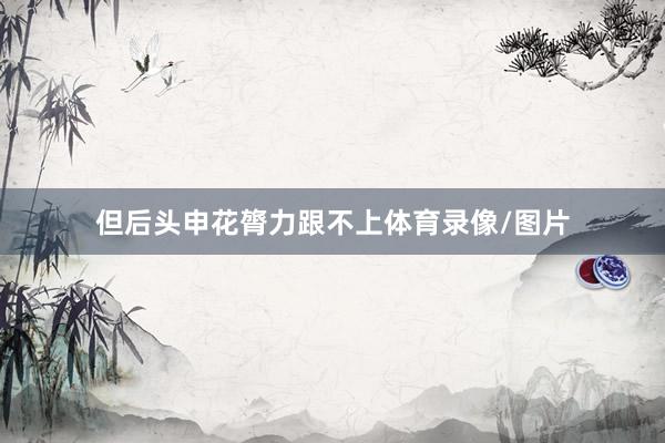 但后头申花膂力跟不上体育录像/图片