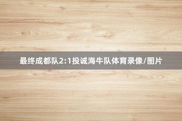 最终成都队2:1投诚海牛队体育录像/图片