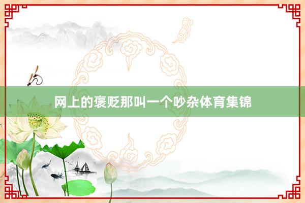 网上的褒贬那叫一个吵杂体育集锦