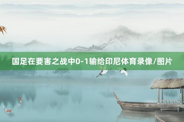 国足在要害之战中0-1输给印尼体育录像/图片