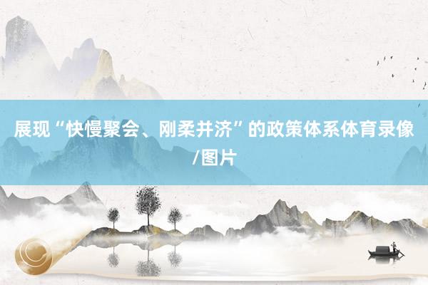 展现“快慢聚会、刚柔并济”的政策体系体育录像/图片