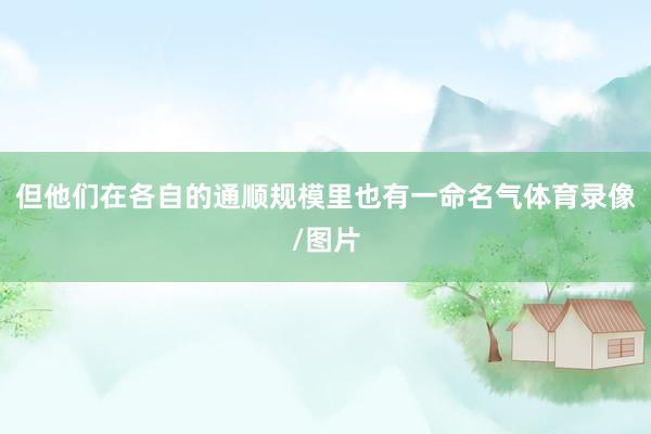 但他们在各自的通顺规模里也有一命名气体育录像/图片