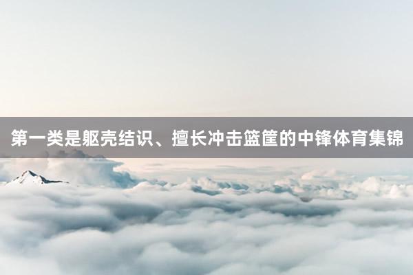 第一类是躯壳结识、擅长冲击篮筐的中锋体育集锦
