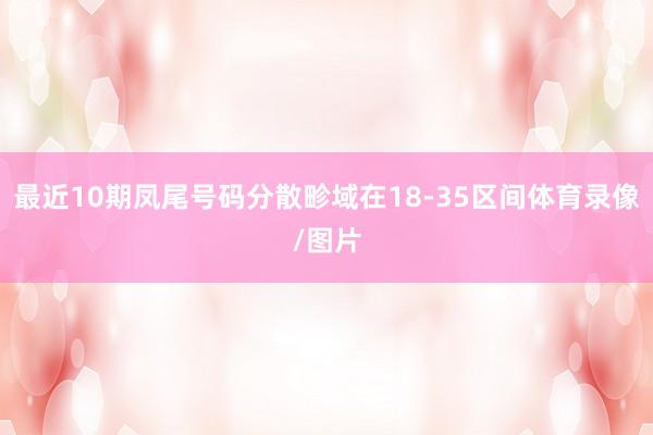 最近10期凤尾号码分散畛域在18-35区间体育录像/图片