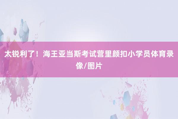 太锐利了！海王亚当斯考试营里颜扣小学员体育录像/图片