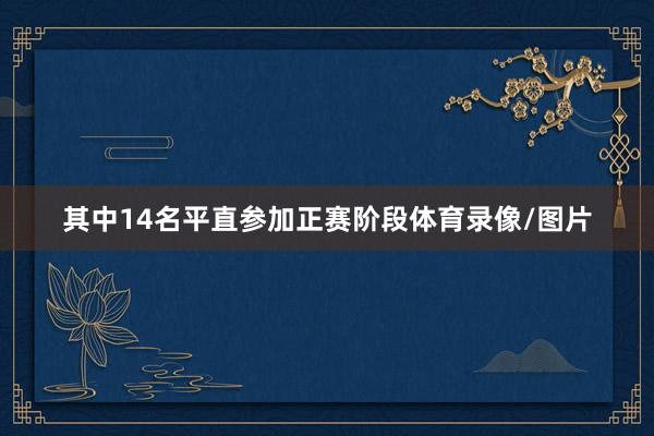其中14名平直参加正赛阶段体育录像/图片