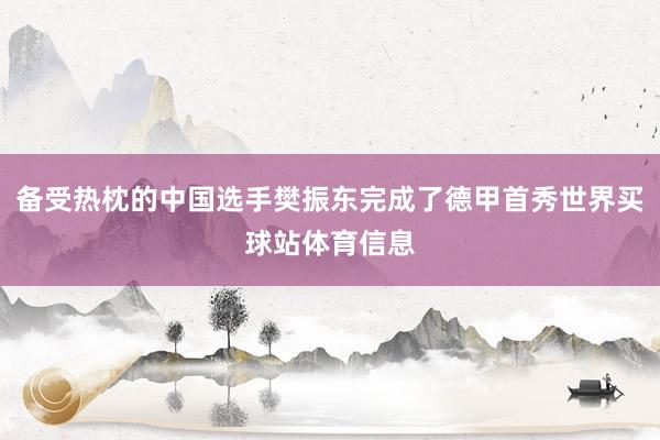 备受热枕的中国选手樊振东完成了德甲首秀世界买球站体育信息