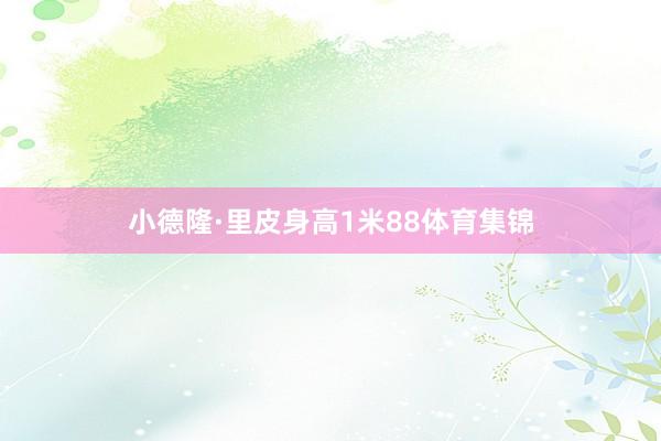 小德隆·里皮身高1米88体育集锦