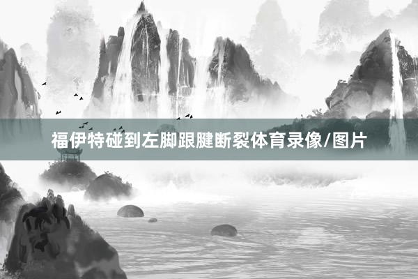 福伊特碰到左脚跟腱断裂体育录像/图片