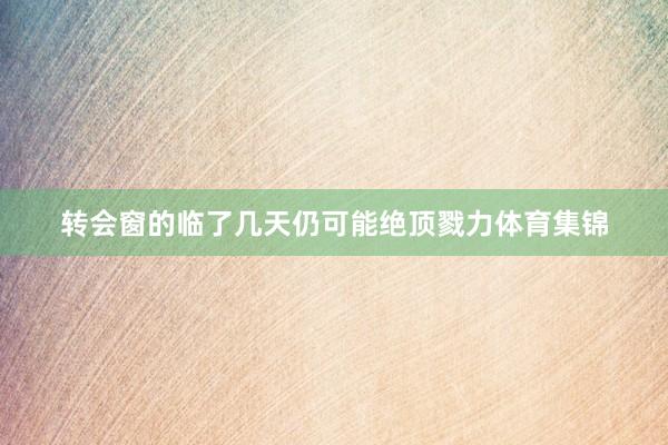 转会窗的临了几天仍可能绝顶戮力体育集锦