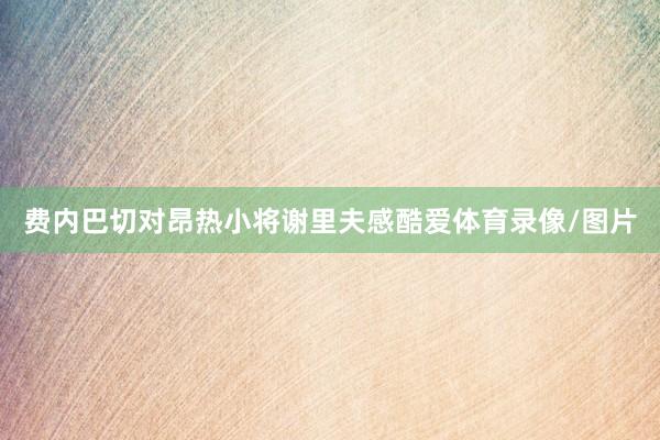 费内巴切对昂热小将谢里夫感酷爱体育录像/图片