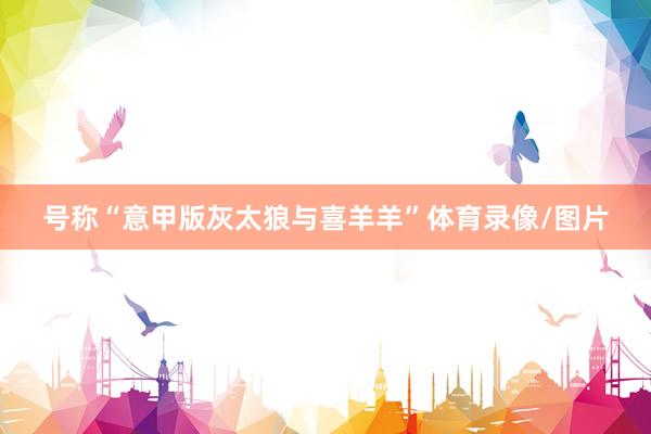号称“意甲版灰太狼与喜羊羊”体育录像/图片