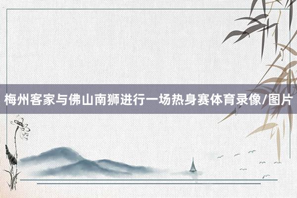 梅州客家与佛山南狮进行一场热身赛体育录像/图片