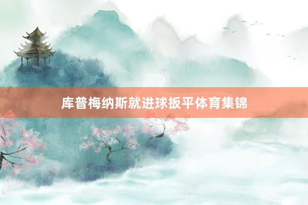 库普梅纳斯就进球扳平体育集锦