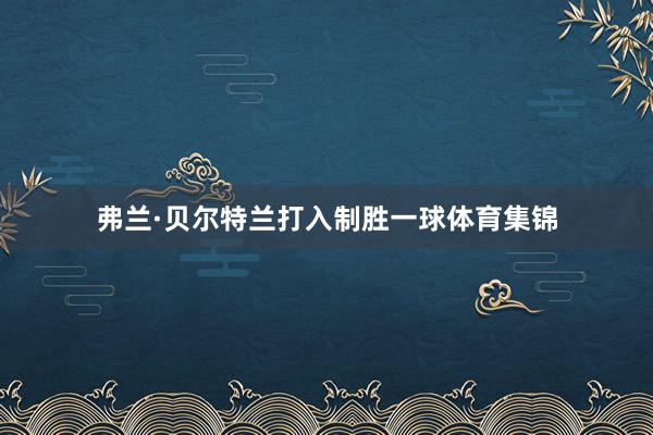 弗兰·贝尔特兰打入制胜一球体育集锦