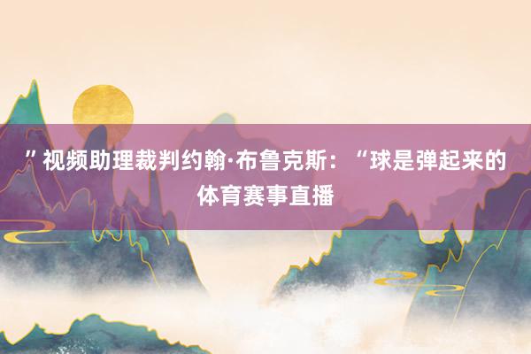 ”视频助理裁判约翰·布鲁克斯：“球是弹起来的体育赛事直播
