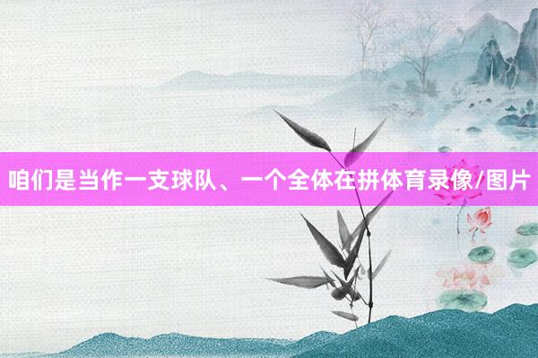 咱们是当作一支球队、一个全体在拼体育录像/图片