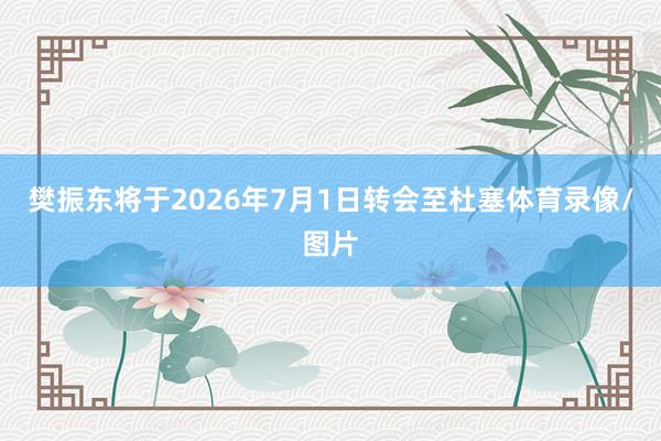 樊振东将于2026年7月1日转会至杜塞体育录像/图片