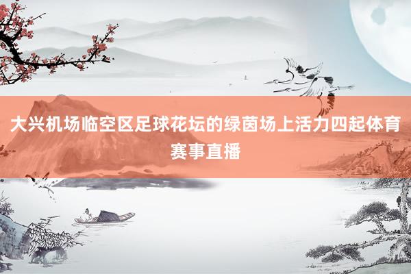 大兴机场临空区足球花坛的绿茵场上活力四起体育赛事直播