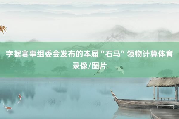 字据赛事组委会发布的本届“石马”领物计算体育录像/图片