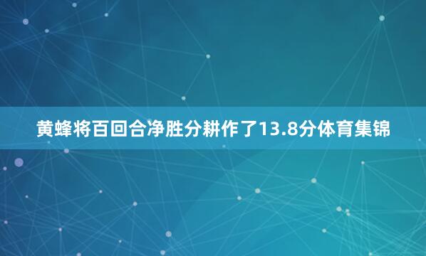 黄蜂将百回合净胜分耕作了13.8分体育集锦