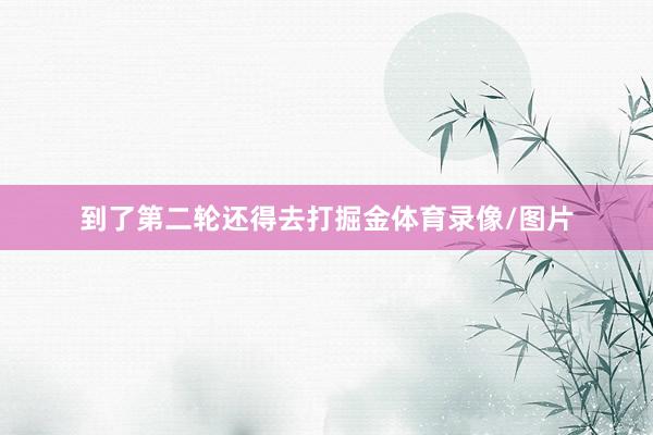 到了第二轮还得去打掘金体育录像/图片