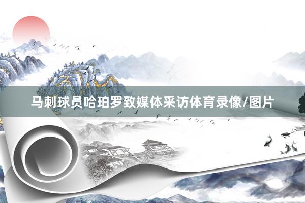 马刺球员哈珀罗致媒体采访体育录像/图片