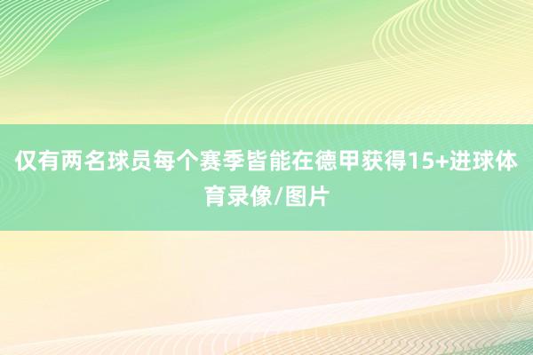 仅有两名球员每个赛季皆能在德甲获得15+进球体育录像/图片