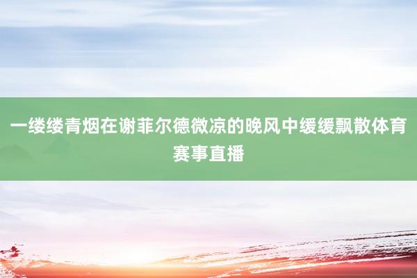 一缕缕青烟在谢菲尔德微凉的晚风中缓缓飘散体育赛事直播