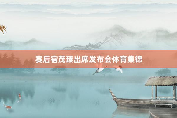 赛后宿茂臻出席发布会体育集锦