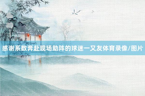 感谢系数奔赴现场助阵的球迷一又友体育录像/图片